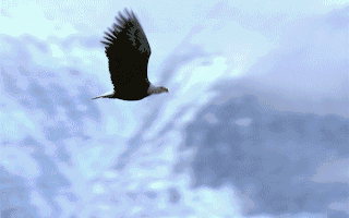 【企业动态】起帆电缆新增2件判决结果涉及买卖合同纠纷